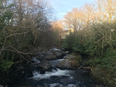 Any Witches Here Part 5.