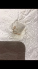 What do you think? Warning pictures!!