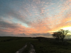 Any Witches Here Part 5.