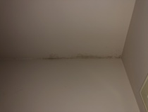 Is this dampness or mould