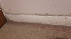 Partner no bio children of his own-anybody the same?