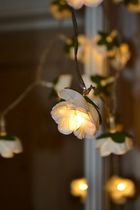 To leave Christmas decorations up a little longer?