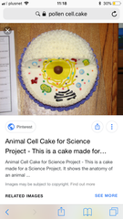 Help - making a cake to look like a pollen cell