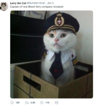 To want a humane method of getting rid of mice?