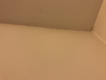 Is this dampness or mould
