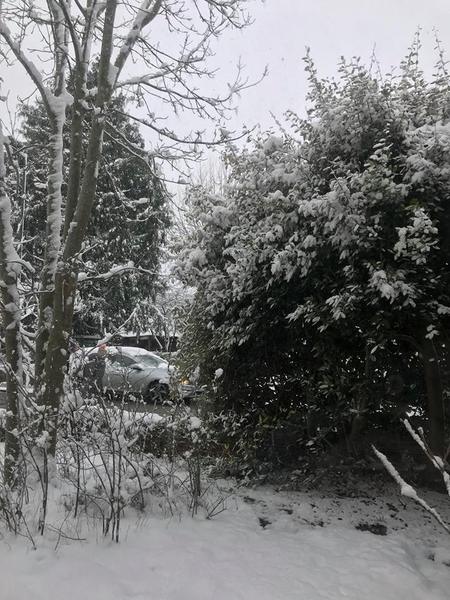 Snow watch winter 2018/19 part 2