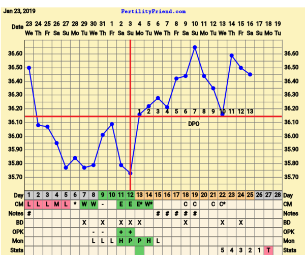 BFP Winter Wonderland, full of babydust and positive thoughts on the journey to our BFP.