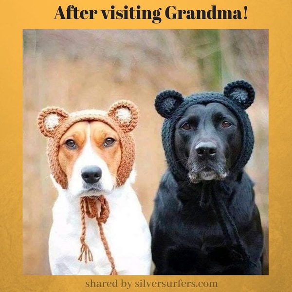 Please share your funny memes or pictures.