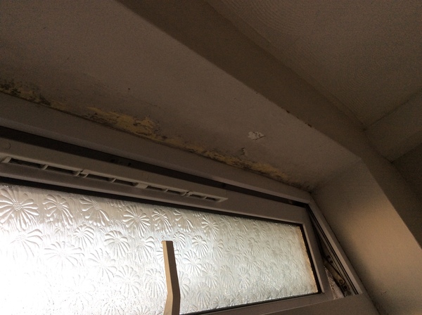 Awful condensation problems in shower room (pics)