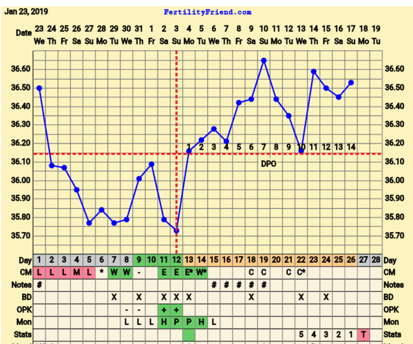 BFP Winter Wonderland, full of babydust and positive thoughts on the journey to our BFP.