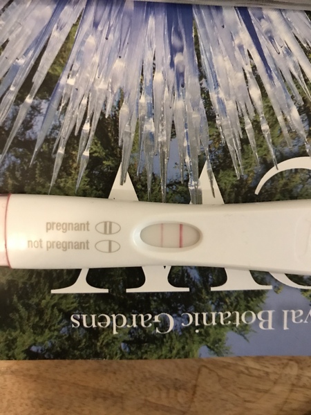 Fertile Feb!
