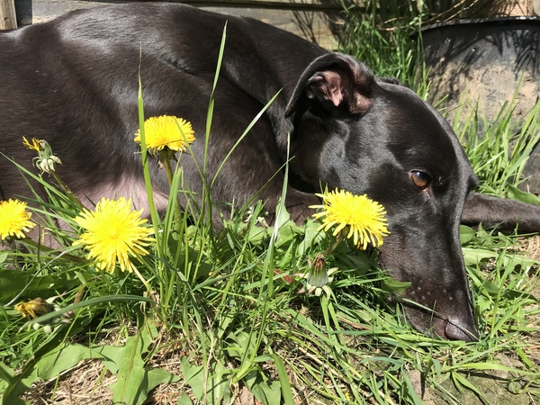 It's not summer yet, but we are on cancer support thread 69. Join us if you've got cancer or are having cancer-related tests.