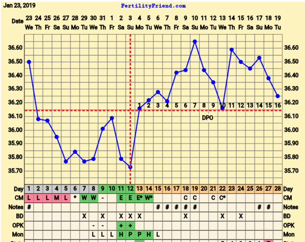 BFP Winter Wonderland, full of babydust and positive thoughts on the journey to our BFP.