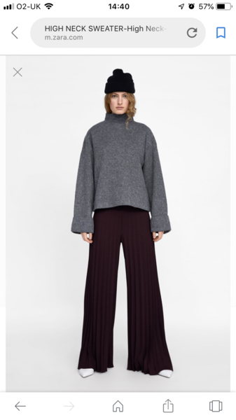 Has anybody seen a jumper like this?