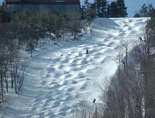 Swagger Inn 160 - Spring is just around the corner.....