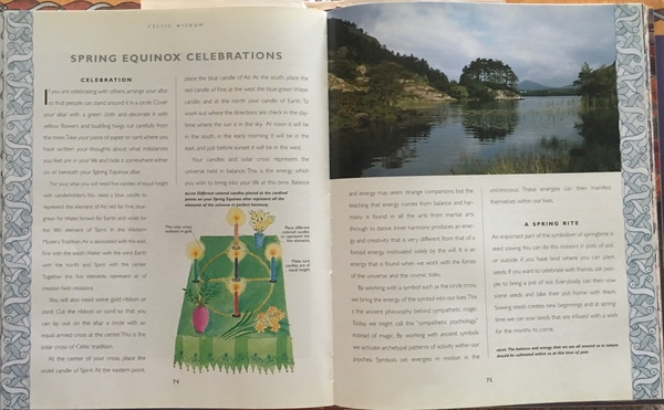 Any Witches Here? Part 6