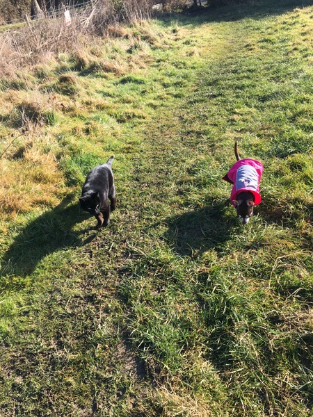 I just walked in on a threesome!