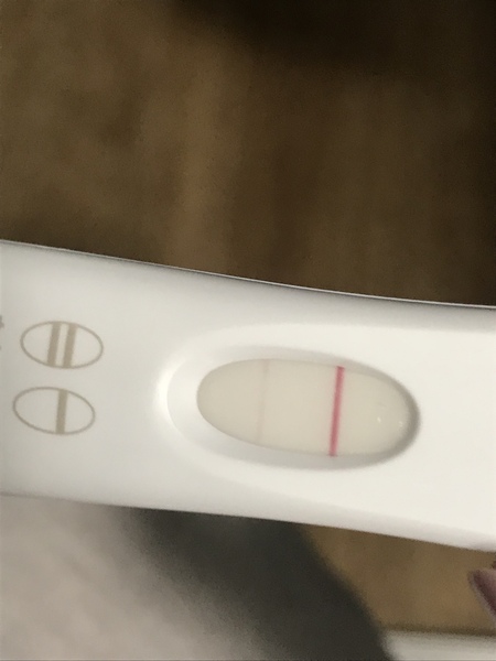 Fertile Feb!