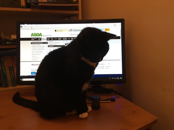 Westminstenders: Waiting for Sanity