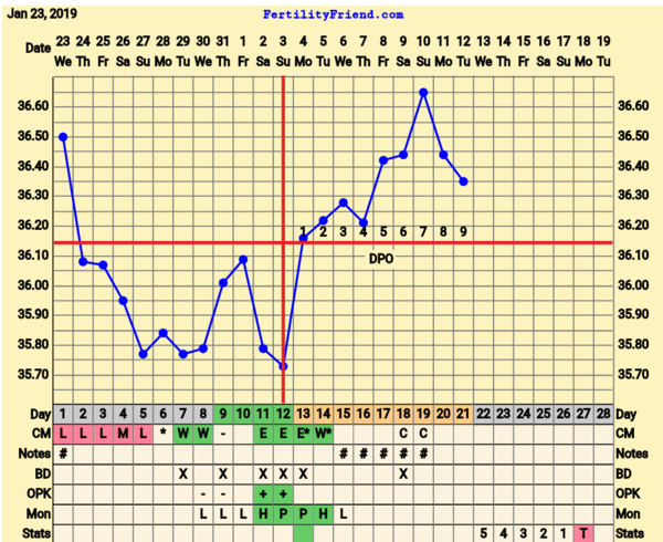 BFP Winter Wonderland, full of babydust and positive thoughts on the journey to our BFP.