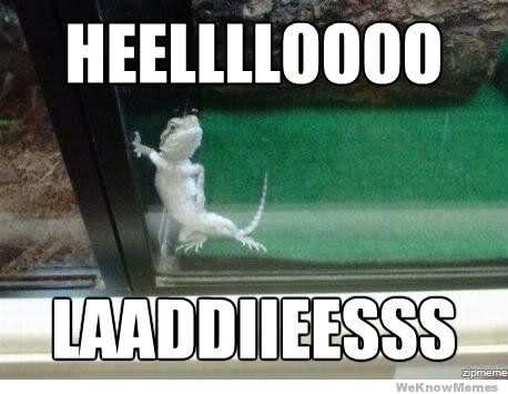 Please share your funny memes or pictures.