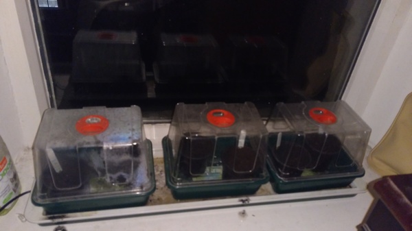 Friendly Frugaleers Furtively Ferreting Away to Find Fabulous Savings