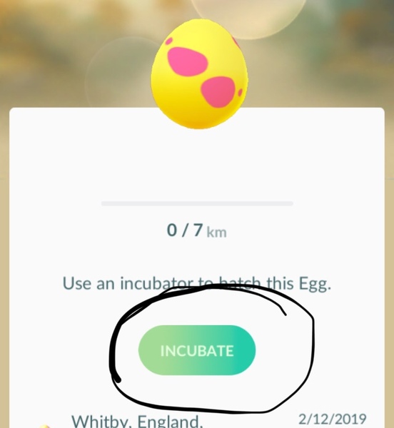 Pokemon Go #22: Papa's got a brand new Grumpig bag.