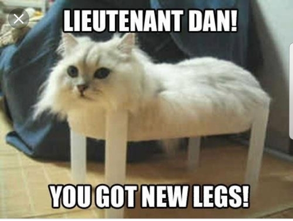 Please share your funny memes or pictures.