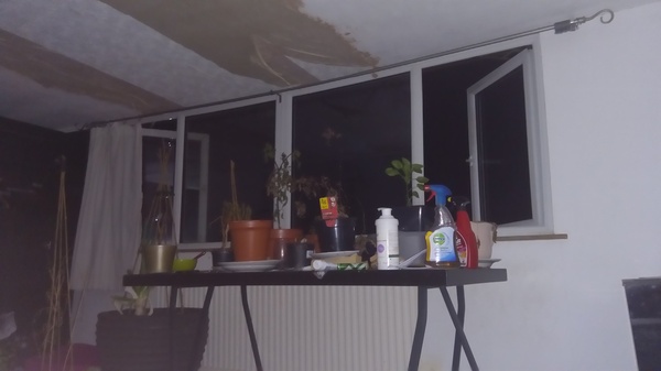 29th March "Grow your own" newcomers welcome here