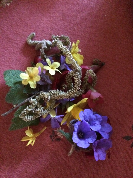 Any Witches Here? Part 6