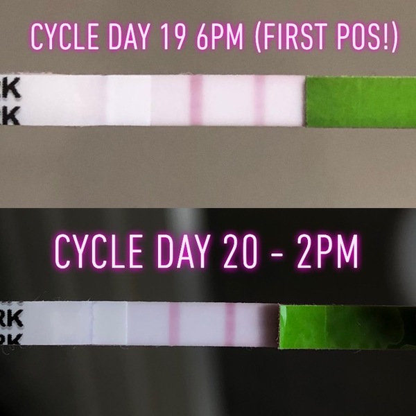 Advice on OPK results