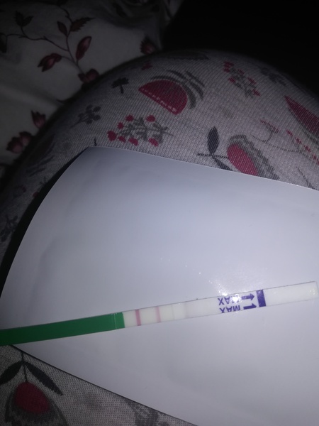OPK Line eyes