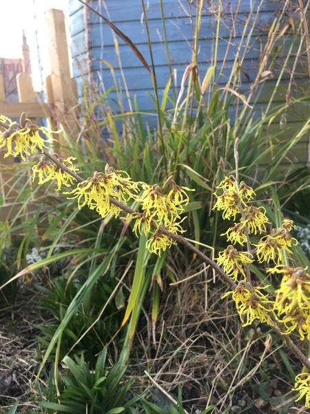 Any Witches Here? Part 6