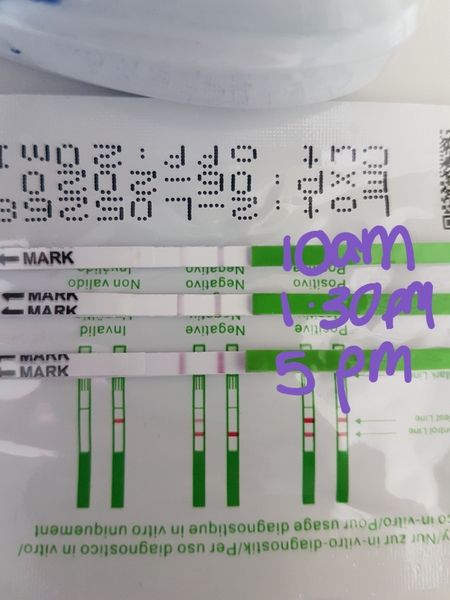 Positive opk? First timer!