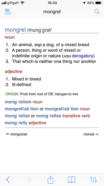Cockapoo advice?