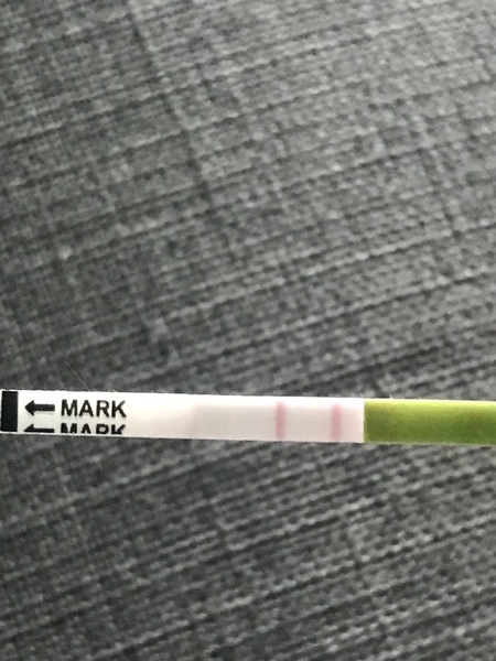 Is this a positive ovulation test ?