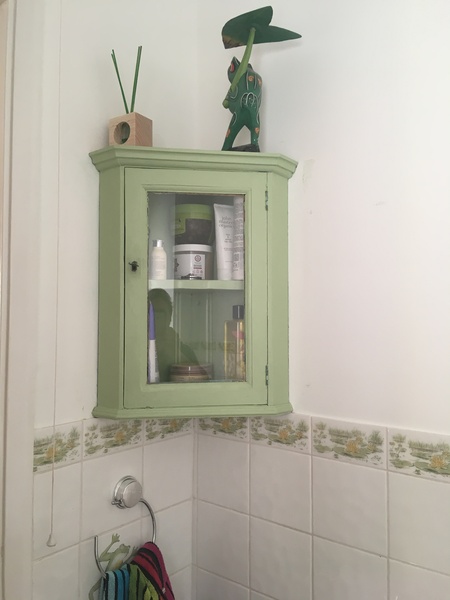 Has anyone successfully painted their furniture?