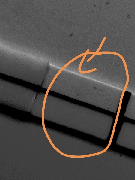 February Bus?!