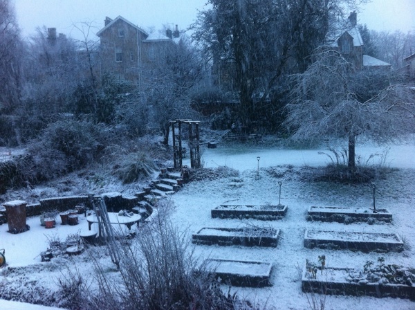 Westminstenders: It's oh so quiet...