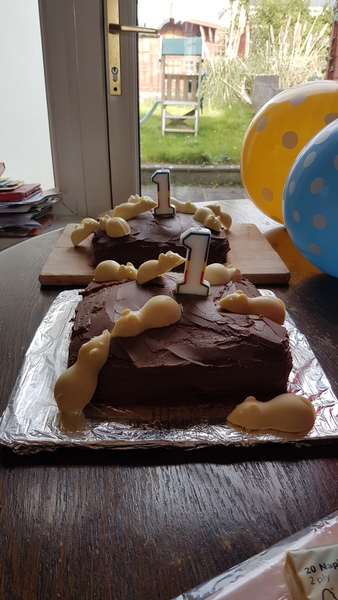 To give pfb some chocolate cake?