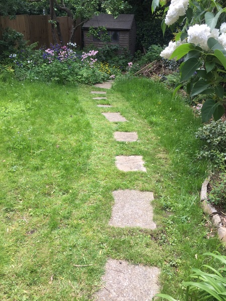 Can I make a path like this?