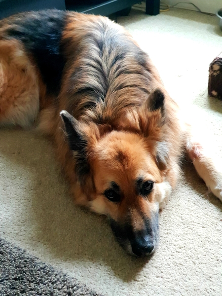 The March-ers 2019 - #9 Meet the Babies