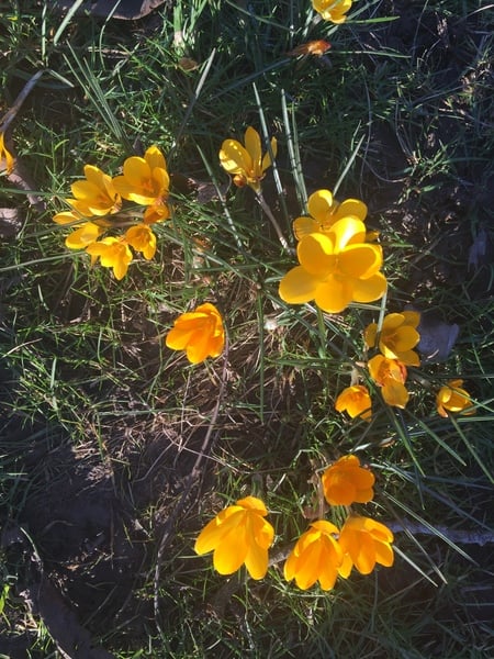 Any Witches Here? Part 6