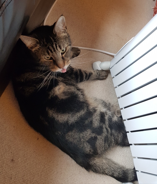 Westministenders: A Special Place in Hell