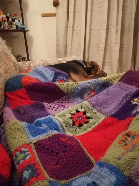 Woolly Hugs. A Blanket for 84CharingCrossRoad, lovely folk, we need your help.