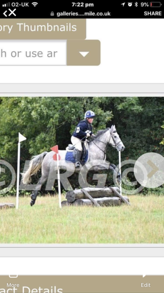 Could I ride this pony or would it be a bit mean?