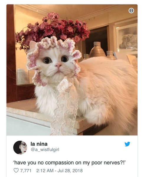 Please share your funny memes or pictures.