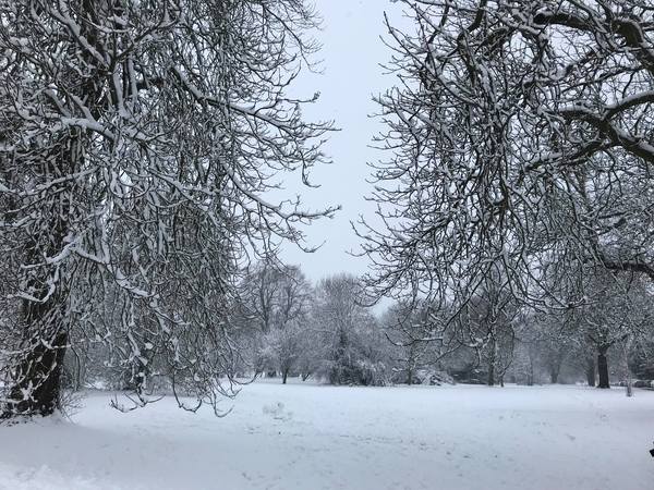 Snow watch winter 2018/19 part 2