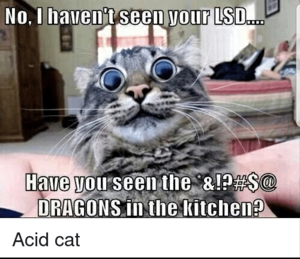 Please share your funny memes or pictures.