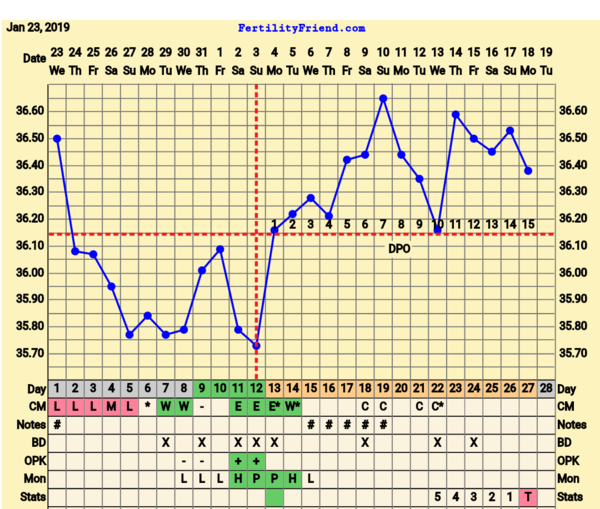 BFP Winter Wonderland, full of babydust and positive thoughts on the journey to our BFP.